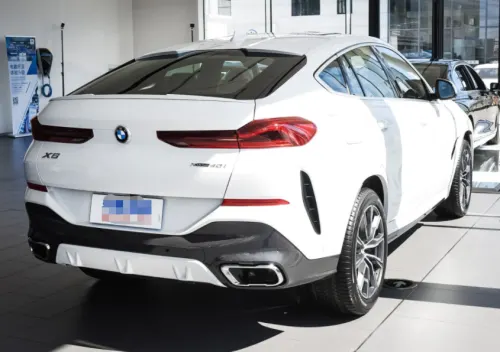 Бризковики (для авто без порогів) до BMW X6 G-06 2019+, к-кт (4шт.)