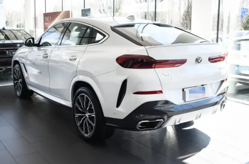 Бризковики (для авто без порогів) до BMW X6 G-06 2019+, к-кт (4шт.)
