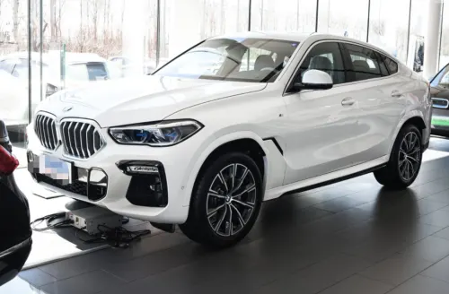 Бризковики (для авто без порогів) до BMW X6 G-06 2019+, к-кт (4шт.)