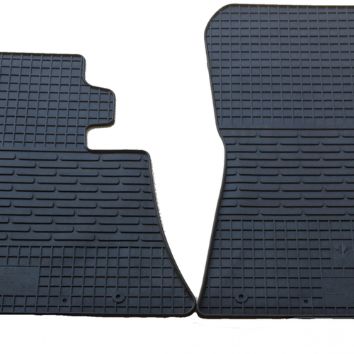 Килимки в салон Stingray для BMW X5 (E53) 99- (передні - 2 шт) 1027032F