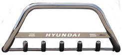 Кенгурятник с надписью и грилем D60 для Hyundai Starex 1998+ (WT004)