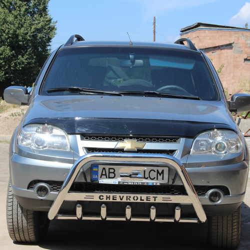 Кенгурятник з написом і грилем D51 для Hyundai H-1 2008+ (WT004)