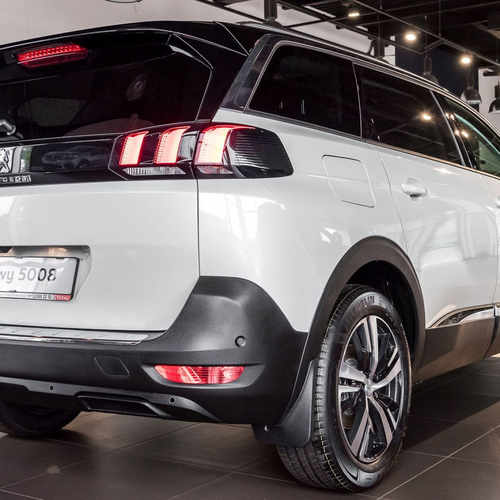 Бризковики Peugeot 5008 2017+ , (4шт.)