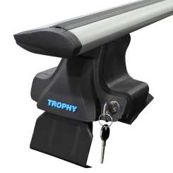 Багажник на гладкий дах TrophyBars (перемички) до Ford Focus 4 Hatchback 2019-..., довжина (130 cm), сірі