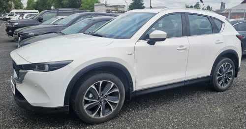 Бризковики Mazda CX-5 2022-2026 , (4шт.)