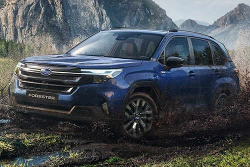 Бризковики Subaru Forester 2025+, (4шт.)