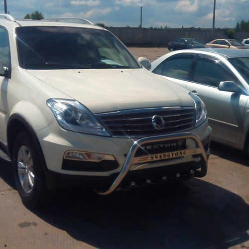 Кенгурятник з написом і грилем D60 для Ssang Yong Rexton 2006-2012 (WT004)