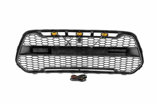 Решітка радіатора (OffRoad) Ford Custom 2013-2018, GBT