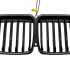 Ніздрі 1 Bar LED (чорний глянець) BMW X7 G07 2019-2022, GBT — фото 5