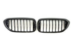 Решетка радиатора ноздри BMW 5 Series G30/G31 2017–2020рік Черный Глянец (1-bar)
