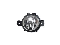Противотуманная фара RH (галоген) для BMW X5 E70 2007–2010