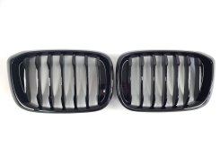 Низдрый Черный глянец ( 1 Bar ) на BMW X3 G01 2018-2022 года