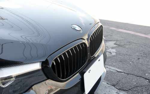 Ніздрі 1 Смуга (чорний глянець) BMW 5 серія G30/G31 2017-2020, GBT