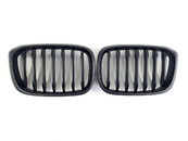 Ніздрі Чорний мат (1 Bar) на BMW X3 G01 2018-2022 року