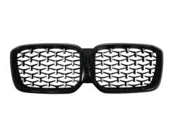 Ноздри (Diamond Silver) на BMW X3 G01 2022-2024 року