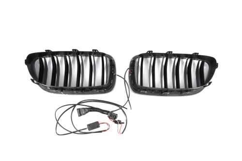 Ніздрі M-Look LED (чорний глянець) BMW 5 серія F10/F11 2010-2016, GBT