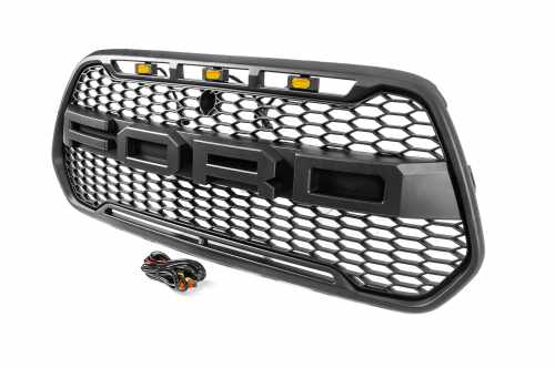 Решітка радіатора (OffRoad) Ford Custom 2013-2018, GBT