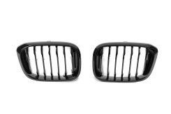 Ноздри 1 Bar (Черный Глянец) BMW X3 G01 2018-2021, GBT