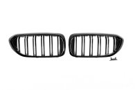 Ніздрі M-Look (чорний глянець) BMW 5 серія G30/G31 2017-2020, GBT