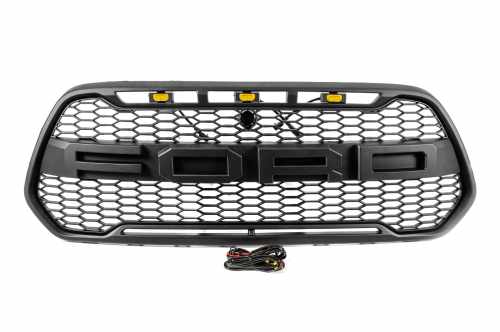 Решітка радіатора (OffRoad) Ford Custom 2013-2018, GBT