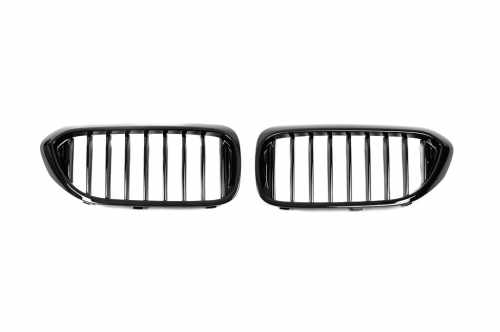 Ніздрі 1 Смуга (чорний глянець) BMW 5 серія G30/G31 2017-2020, GBT