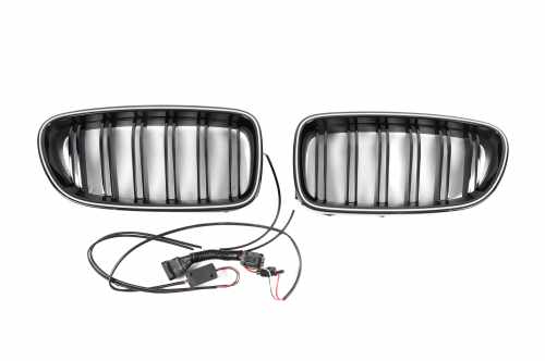 Ніздрі M-Look LED (чорний глянець) BMW 5 серія F10/F11 2010-2016, GBT