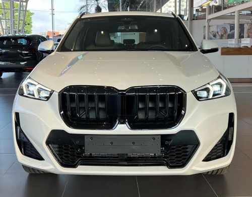 Решітка Ніздрі 1 Смуга (чорний глянець) BMW X1/iX1 (U11) 2022+, GBT