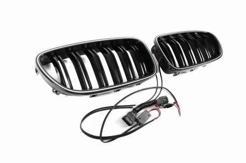 Ніздрі M-Look LED (чорний глянець) BMW 5 серія F10/F11 2010-2016, GBT