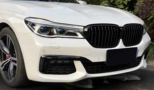 Ніздрі 1 Смуга (чорний глянець) BMW 7 серія G11/G12 2016-2019, GBT