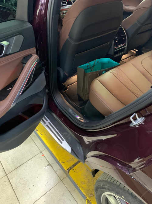 Бічні підніжки (пороги) на BMW X6 G06 2019-2020 рік