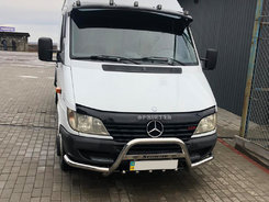 Кенгурятник з вусами (нерж.) для Mercedes Sprinter 1995-2006 рр