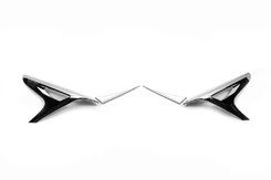 Накладки на стопы (2 шт, ABS) для Lexus NX