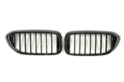 Решітка радіатора ніздрі BMW 5 Series G30/G31 2017-2020рік Чорний Глянець (1-bar)
