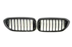 Решітка радіатора ніздрі BMW 5 Series G30/G31 2017-2020рік Чорний Глянець (1-bar)