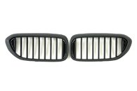 Решітка радіатора ніздрі BMW 5 Series G30/G31 2017-2020рік Чорний Матовий (1-bar)