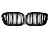 Решітка радіатора ніздрі BMW X5 Series E53 1999-2003 рік Чорний Глянець