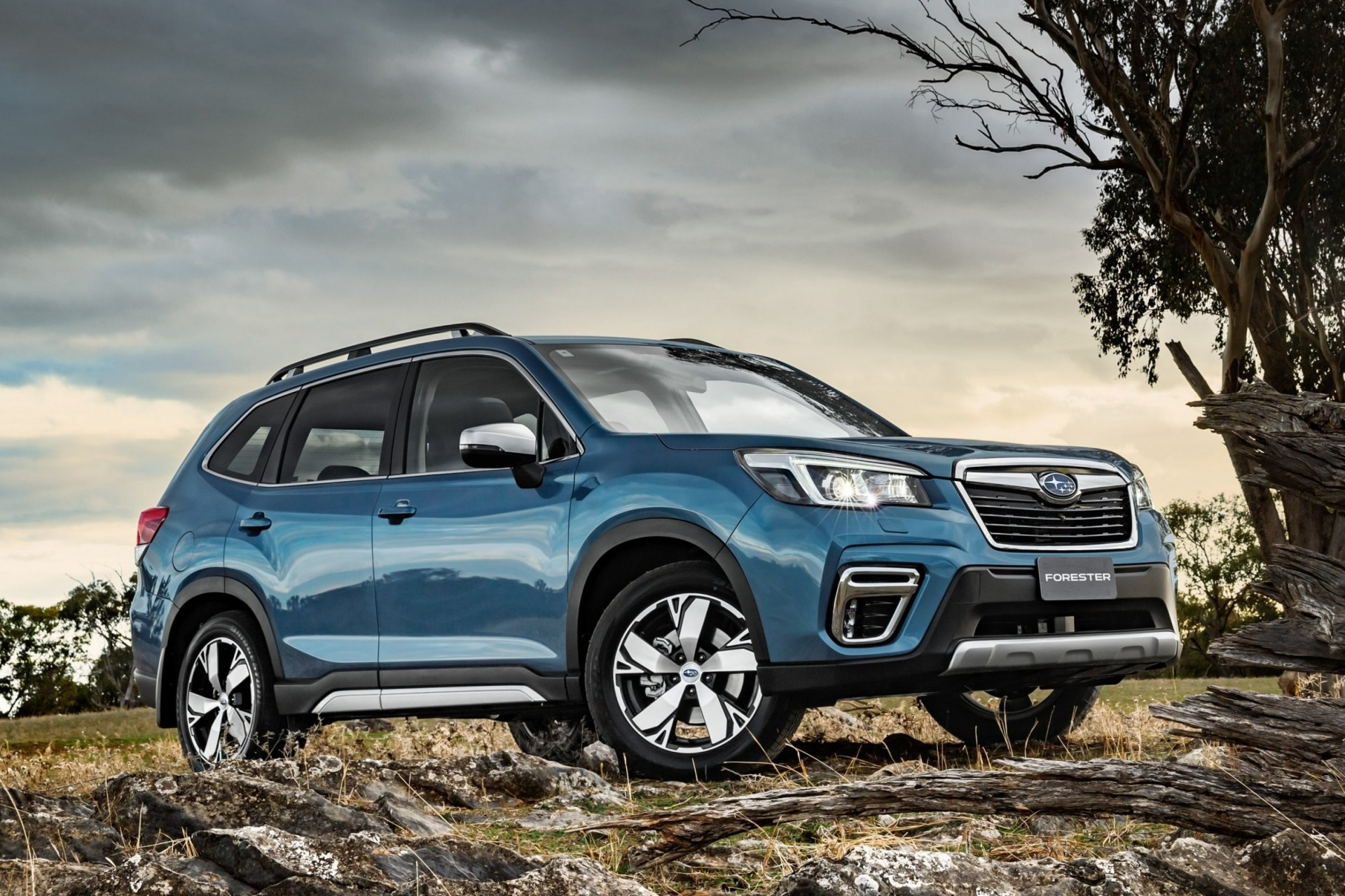 Бризковики Subaru Forester 2019-2025, (4шт.)
