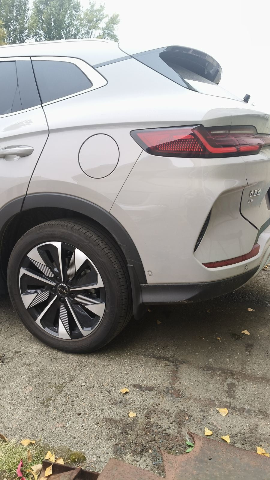 Бризковики BYD Song Plus, (4шт.)