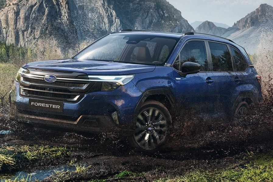 Бризковики Subaru Forester 2025+, (4шт.)