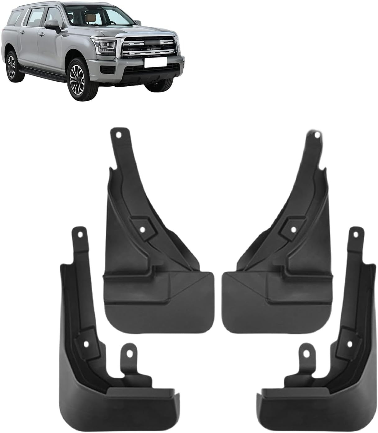 Бризковики Haval H5 2023+, (4шт.)