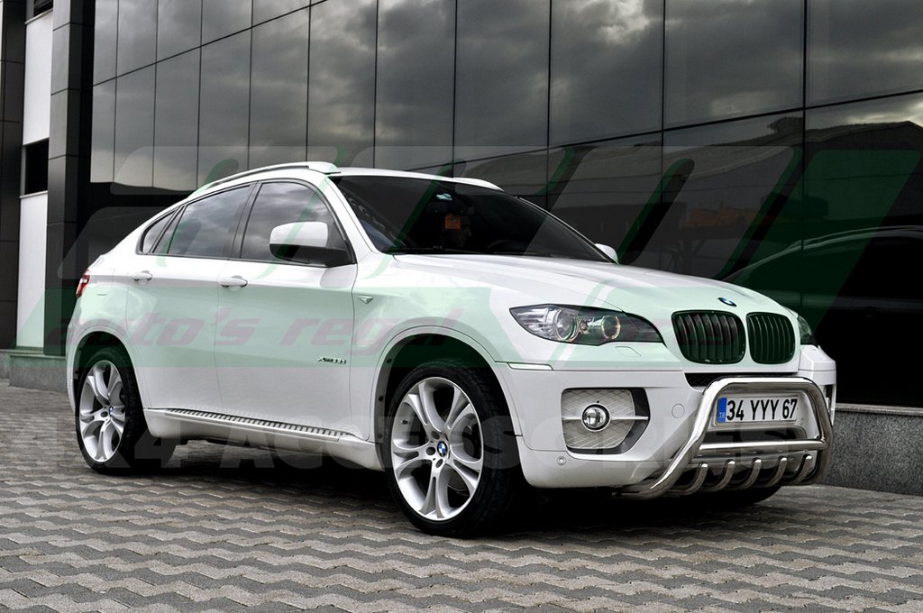 Кенгурятник WT003 (нерж.) 50мм для BMW X6 E-71 2008-2014